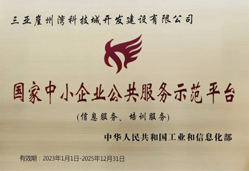 国家中小企业公共服务示范平台